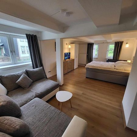 Mai-Ferienhaus-Harz 210Qm Клаусталь-Целлерфельд Экстерьер фото
