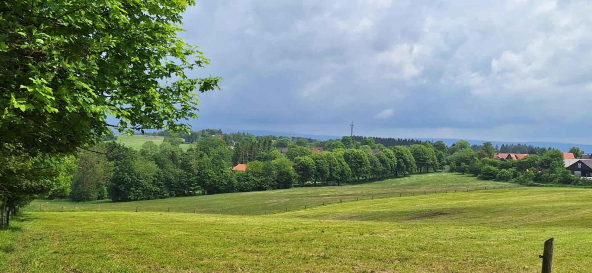 Mai-Ferienhaus-Harz 210Qm Клаусталь-Целлерфельд Экстерьер фото