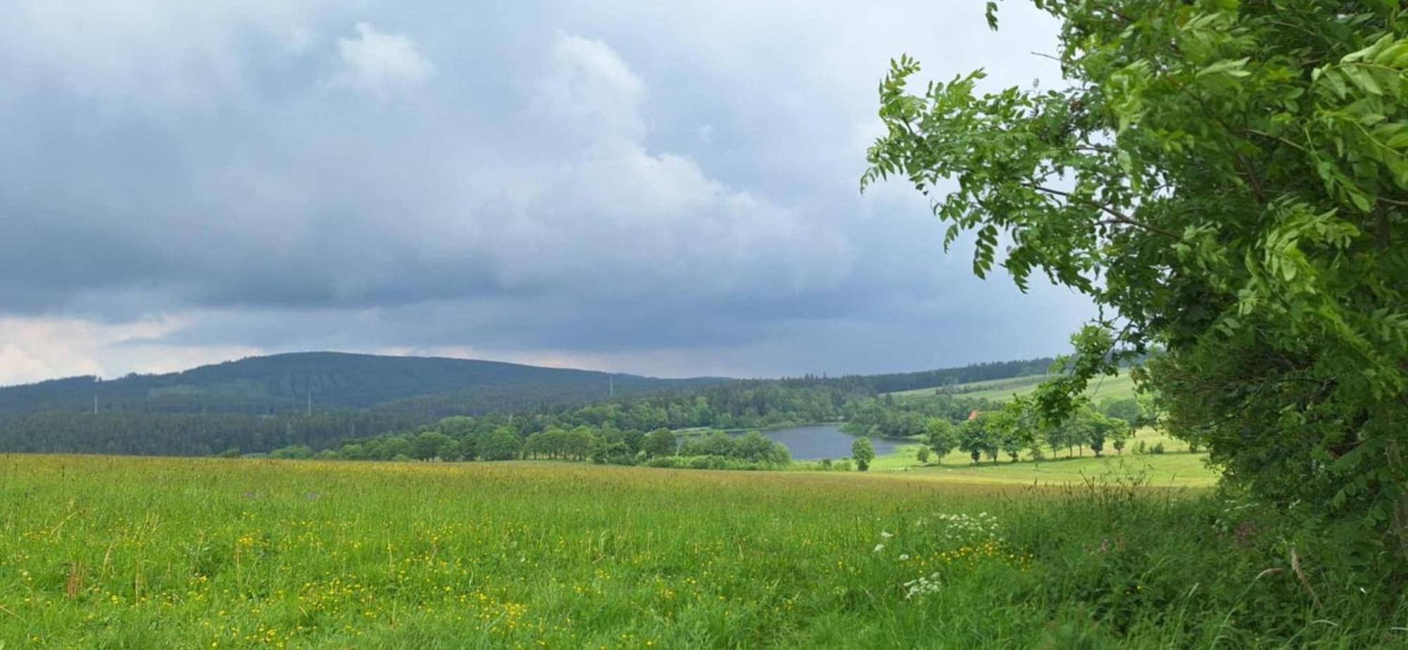 Mai-Ferienhaus-Harz 210Qm Клаусталь-Целлерфельд Экстерьер фото